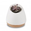 BIOO LUX interaktīvā lampa