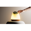 BIOO LUX interaktīvā lampa