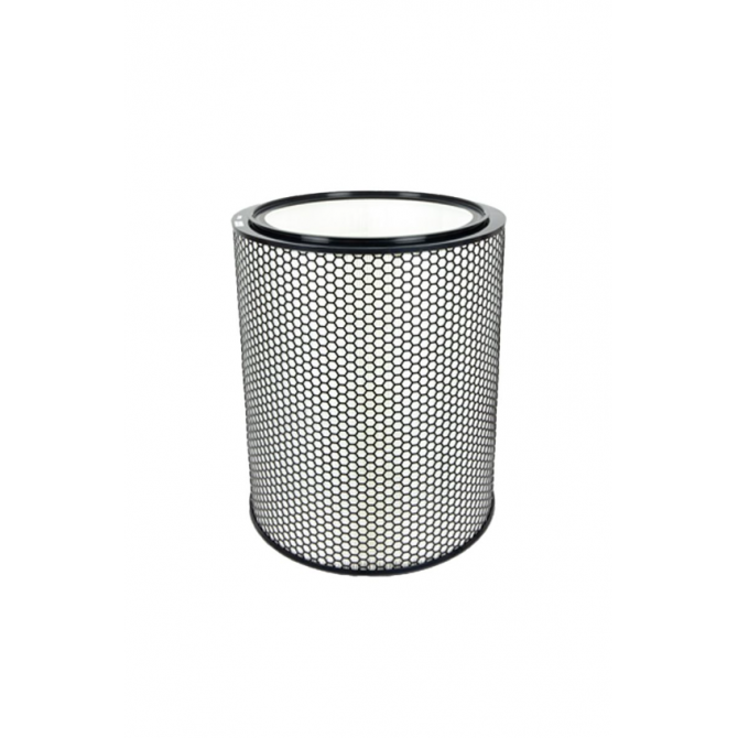 DYSON BP03/BP04 Hepa filtrs 972132-01