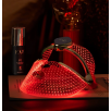 FOREO LED maska ādai FAQ 202