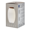 SOUND BY JBL Synergy 50 skaļrunis, LED lampa, vīna dzesētājs
