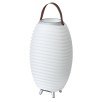SOUND BY JBL Synergy 50 skaļrunis, LED lampa, vīna dzesētājs