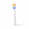SOOCAS NEOS II zobubirstes uzgalis Classic Clean, Pearl White (2 gab. iepakojumā)